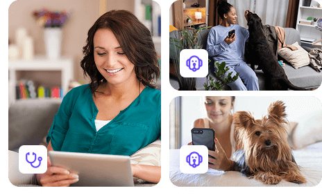 Contextos Pet e Vet - Guiavet
