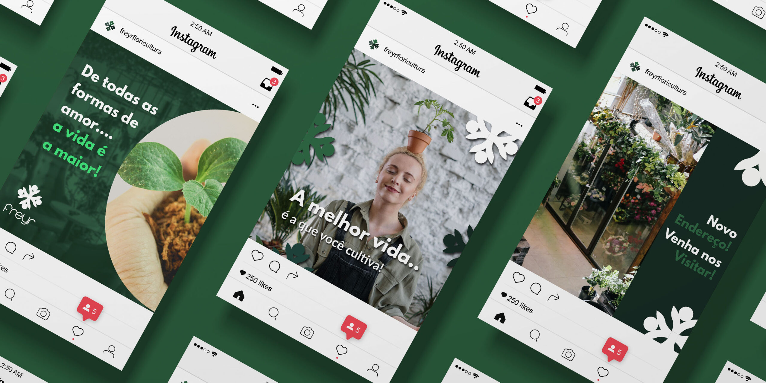 Instagram Floricultura Freyr